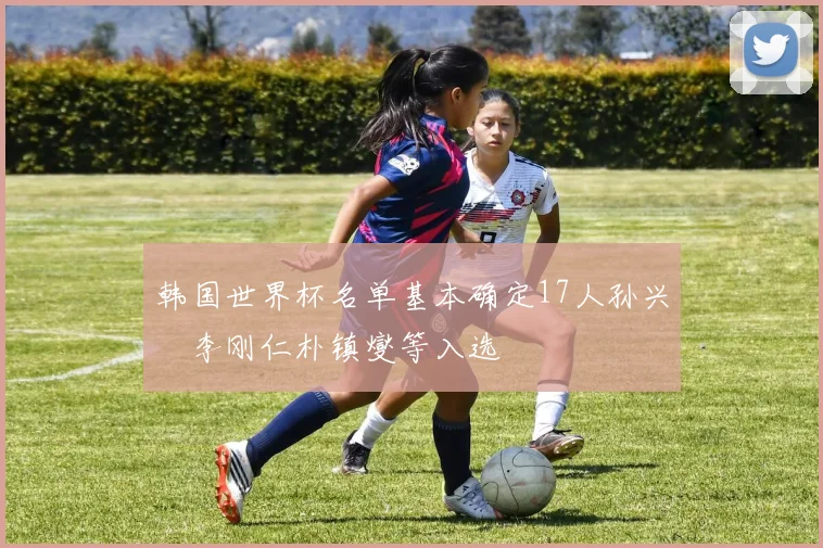 韩国世界杯名单基本确定17人孙兴慜李刚仁朴镇燮等入选