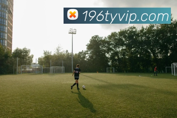 196体育品牌故事