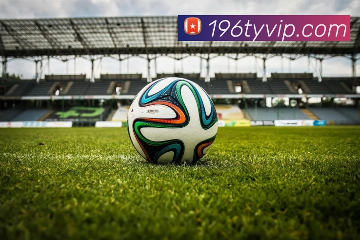 196体育服务体系